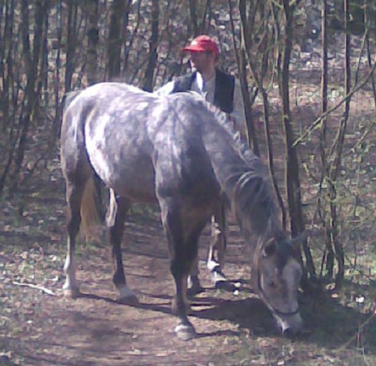 im Birkenw�ldchen 2009