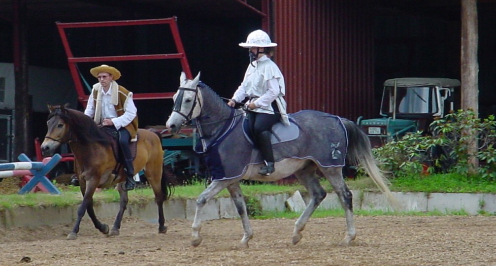 K�r mit Lopi und Shaman 2008