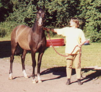 Shaman als J�hrling