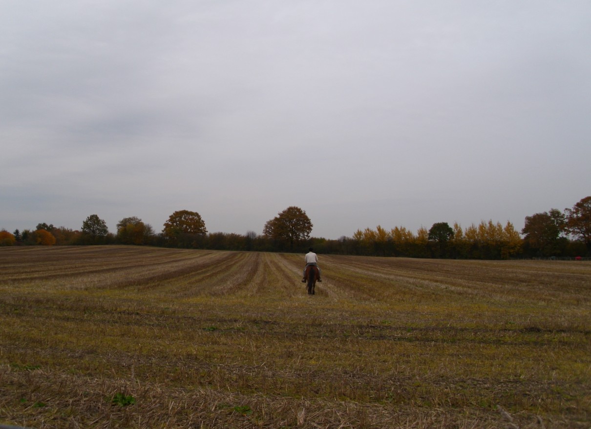 Auf dem Stoppelfeld