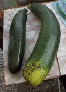zucchini