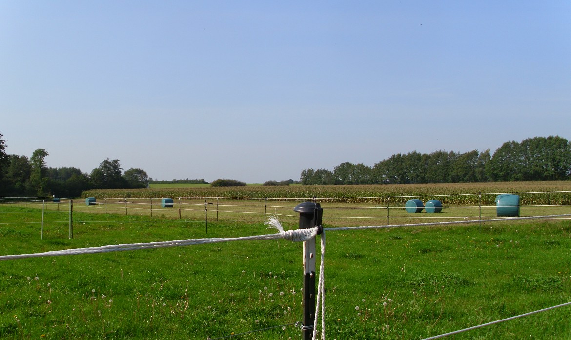 Heuballen gewickelt