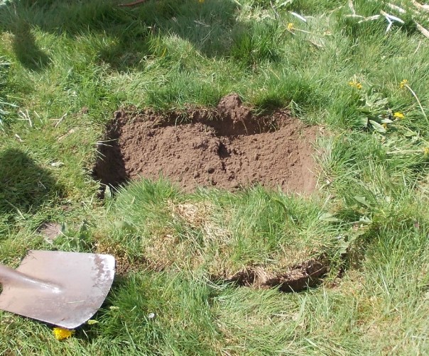 Grassode