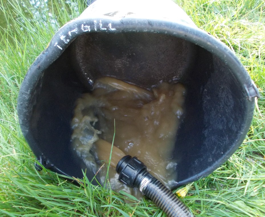 wasser