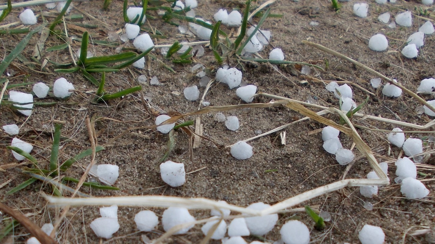 Hagel