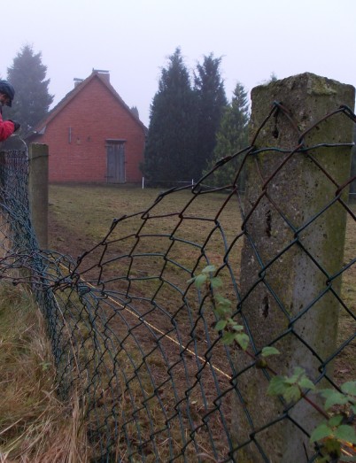 maschendraht