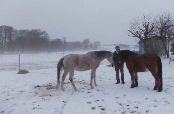winter#