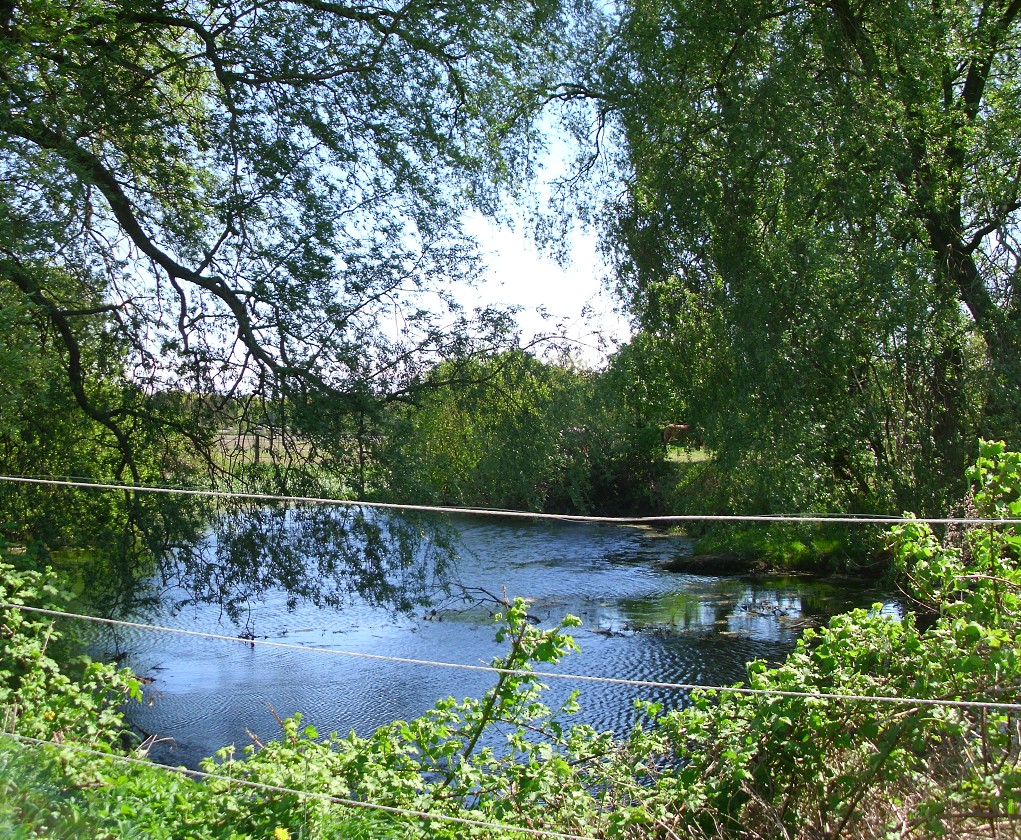 Am See