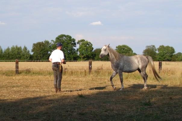 yoyo mit Elmi liberty