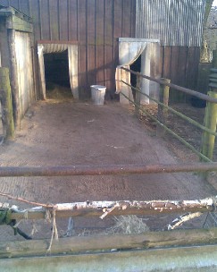 Shamans Paddock
