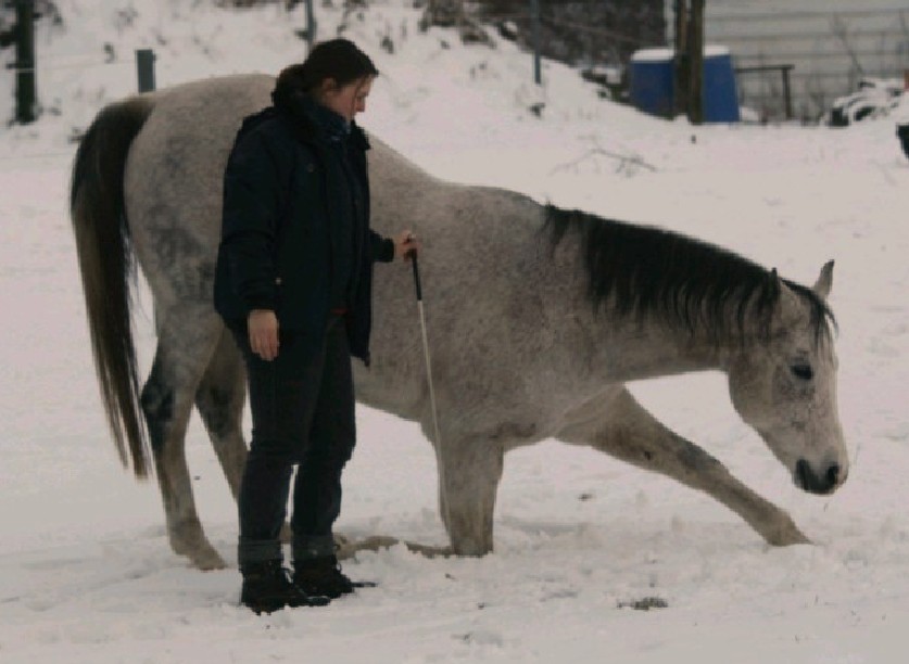 Kompliment in Schnee