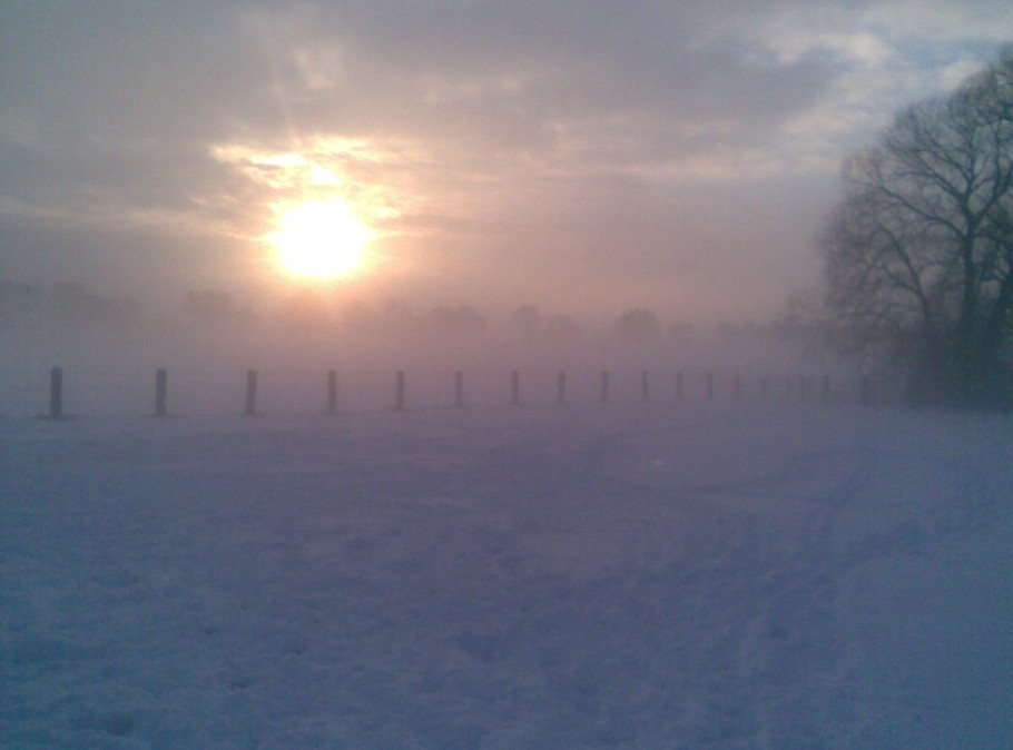 Nebel am Morgen