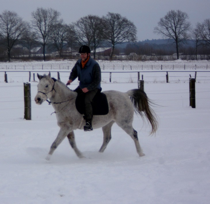 im Schnee