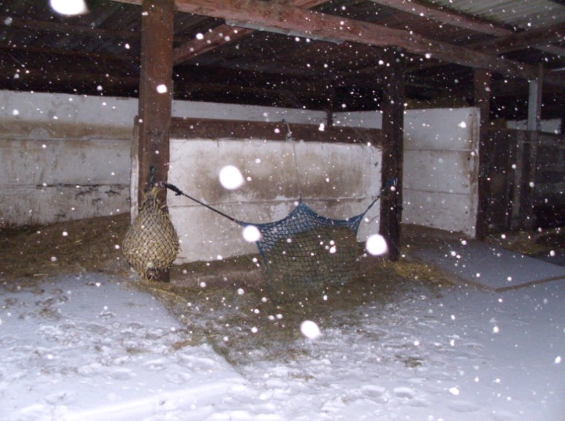 Schneeflocken