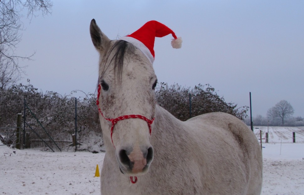 Weihnachten